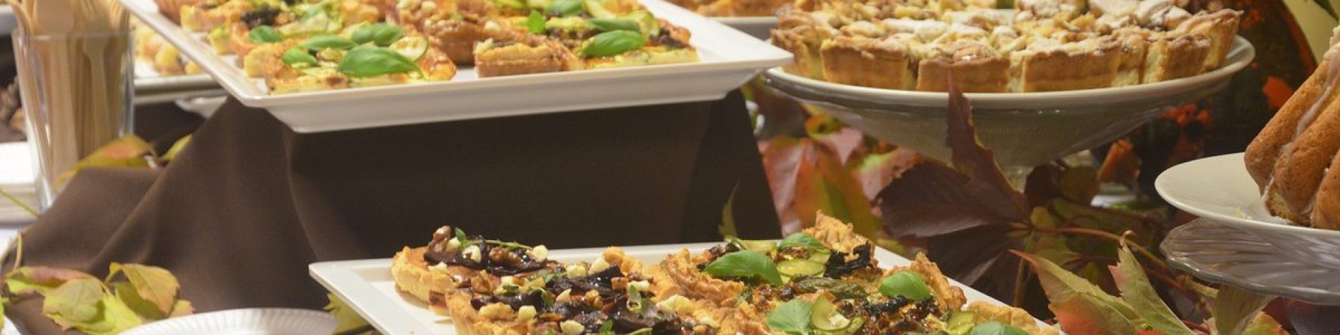 strona główna galeria