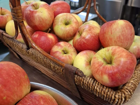 Światowy Dzień Jabłka