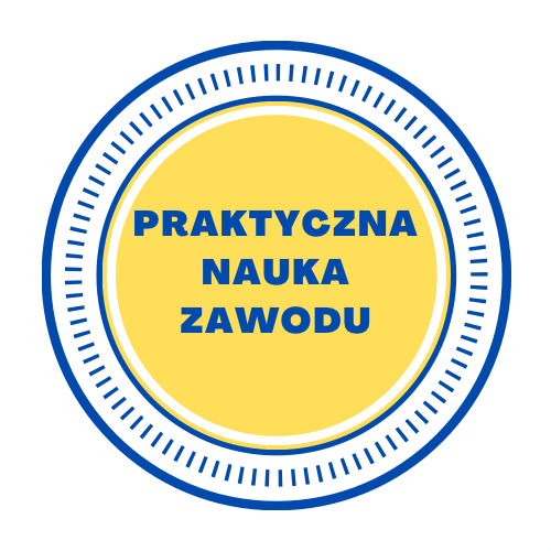 Logo Praktycznej Nauki Zawodu