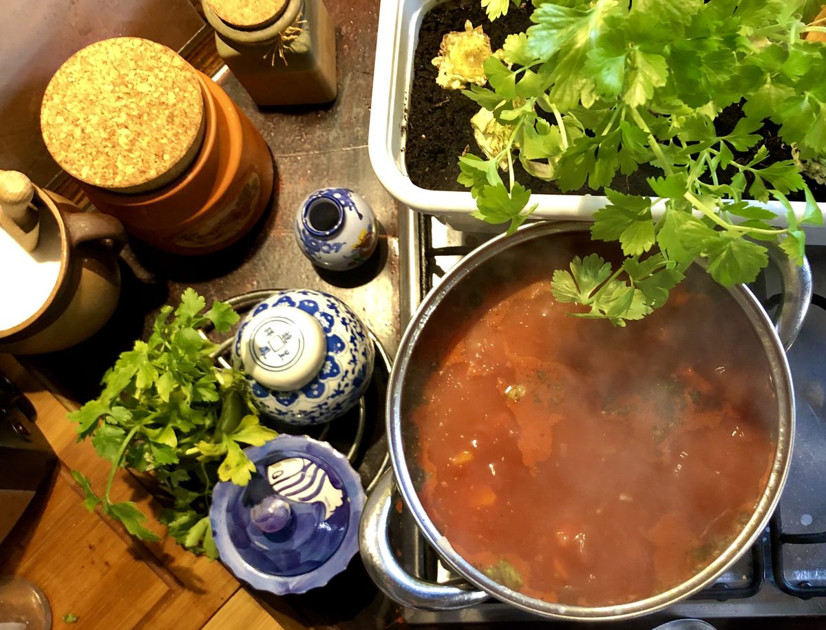 Sopa de tomate - od przygotowania do podania